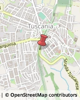 Stazioni di Servizio e Distribuzione Carburanti Tuscania,01017Viterbo