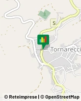 Stazioni di Servizio e Distribuzione Carburanti Tornareccio,66046Chieti
