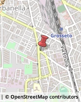 Pollame, Conigli e Selvaggina - Dettaglio Grosseto,58100Grosseto