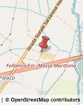 Aziende Agricole Follonica,58022Grosseto