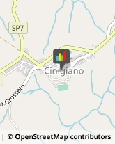 Panifici Industriali ed Artigianali Cinigiano,58044Grosseto