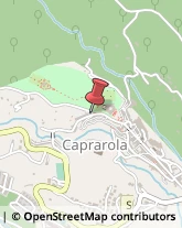 Geometri Caprarola,01032Viterbo