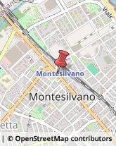 Notai Montesilvano,65015Pescara