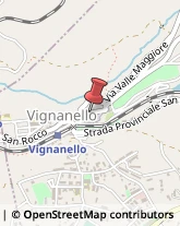 Amministrazioni Immobiliari Vignanello,01039Viterbo