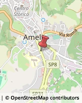 Aziende Sanitarie Locali (ASL) Amelia,05022Terni