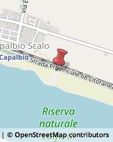 Riserve Naturali e Parchi Capalbio,58011Grosseto