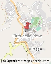 Avvocati Città della Pieve,06062Perugia