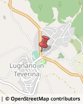 Assicurazioni Lugnano in Teverina,05020Terni