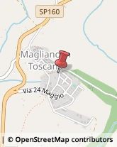 Leasing Magliano in Toscana,58051Grosseto