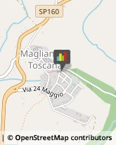 Leasing Magliano in Toscana,58051Grosseto