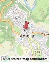 Librerie Amelia,05022Terni