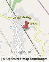 Istituti di Bellezza Castiglione in Teverina,01024Viterbo
