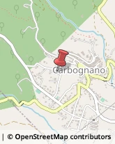 Alberghi Carbognano,01030Viterbo