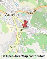 Analisi Cliniche - Medici Specialisti Amelia,05022Terni