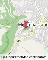 Mostre, Fiere e Saloni - Allestimento e Servizi Montefiascone,01027Viterbo