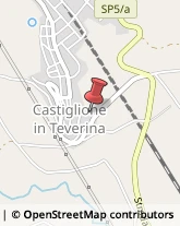 Vini e Spumanti - Produzione e Ingrosso Castiglione in Teverina,01024Viterbo