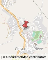 Scuole Pubbliche Città della Pieve,06062Perugia