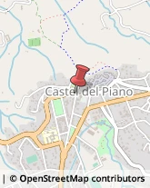 Informazioni Commerciali Castel del Piano,58033Grosseto