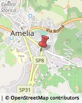 Autoveicoli Commerciali Amelia,05022Terni