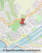 Tela Castiglione della Pescaia,58043Grosseto