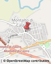 Cornici ed Aste - Dettaglio Montalto di Castro,01014Viterbo