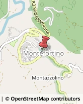 Scuole Pubbliche Montefortino,63858Fermo