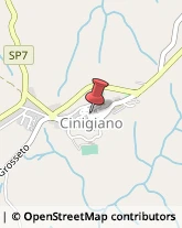 Ristoranti Cinigiano,58044Grosseto