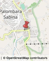 Palestre e Centri Fitness Palombara Sabina,00018Roma