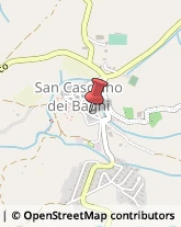 Piante e Fiori - Dettaglio San Casciano dei Bagni,53040Siena