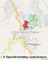 Calzature - Dettaglio Città della Pieve,06062Perugia