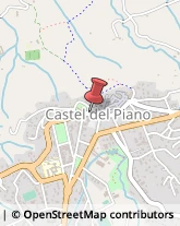 Cartotecnica Castel del Piano,58033Grosseto