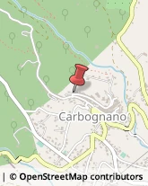 Officine Meccaniche Carbognano,01030Viterbo