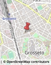 Agenzie di Vigilanza e Sorveglianza Grosseto,58100Grosseto