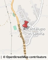 Commercio Elettronico - Società Cantalupo in Sabina,02040Rieti