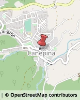 Pescherie Canepina,01030Viterbo