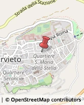 Ortofrutticoltura Orvieto,05018Terni