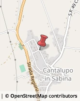 Figurinisti - Scuole Cantalupo in Sabina,02040Rieti