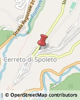 Scuole Pubbliche Cerreto di Spoleto,06041Perugia