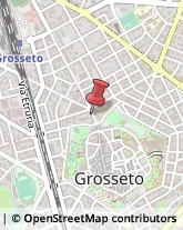 Pelletterie - Ingrosso e Produzione Grosseto,58100Grosseto