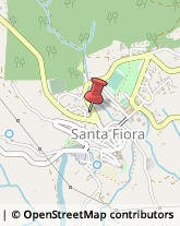 Mobili Santa Fiora,58037Grosseto