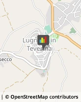 Scuole Materne Private Lugnano in Teverina,05020Terni