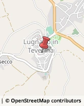 Scuole Materne Private Lugnano in Teverina,05020Terni