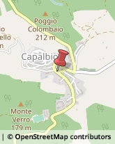 Agenzie Immobiliari Capalbio,58011Grosseto