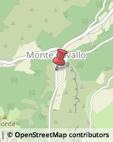 Aziende Agricole Monte Cavallo,62036Macerata