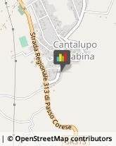 Falegnami Cantalupo in Sabina,02040Rieti