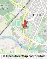 Agenti e Rappresentanti di Commercio,05100Terni