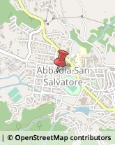 Alimentari Abbadia San Salvatore,53021Siena