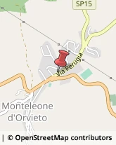 Piante e Fiori - Dettaglio Monteleone d'Orvieto,05017Terni