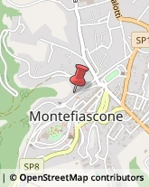Pasticcerie - Dettaglio Montefiascone,01027Viterbo