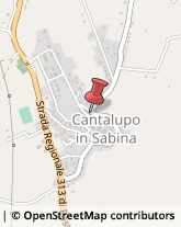 Alimentari Cantalupo in Sabina,02040Rieti